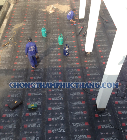 Đơn vị cung cấp màng chống thấm tại hải phòng uy tín và giá rẻ nhất